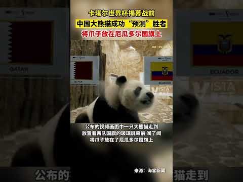 曼联公布新,赛季球员号,芒特穿,天天盈球足球比分网,体育官网,平台入口,足球比分,即时比分,比分直播